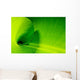 Banana leaf Wall Mural
