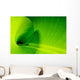 Banana leaf Wall Mural
