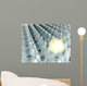 One Glowing Lightbulb