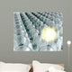 One Glowing Lightbulb