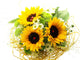 Sunflower Bouquet Wall Mural