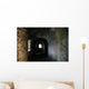 dungeon hallway Wall Mural