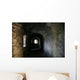 dungeon hallway Wall Mural
