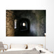 dungeon hallway Wall Mural