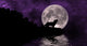 Wolf Moon Wall Mural