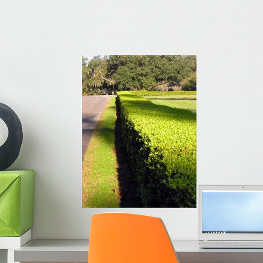 Hedge Sun Wall Decal