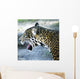 Jaguar Wall Mural