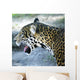 Jaguar Wall Mural
