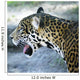 Jaguar Wall Mural
