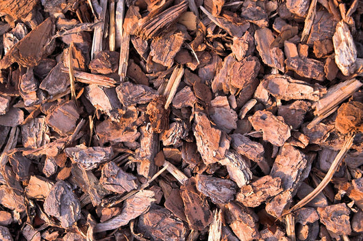 Pine Bark Wall Mural