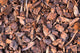 Pine Bark Wall Mural
