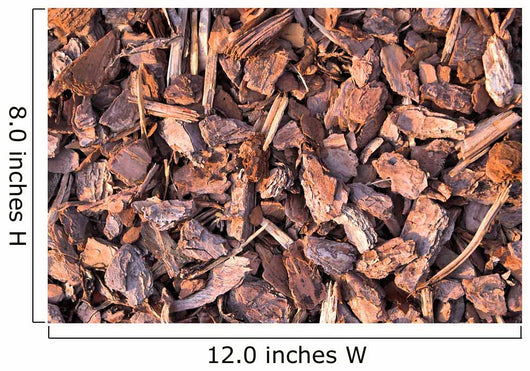 Pine Bark Wall Mural