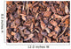 Pine Bark Wall Mural