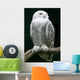 White Bird Wall Decal
