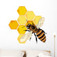 Bee vector Wall Decal