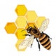Bee vector Wall Decal