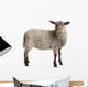 Lamb Wall Decal