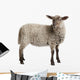 Lamb Wall Decal