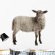 Lamb Wall Decal