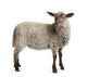 Lamb Wall Decal