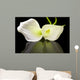 Beautiful White Calla Lilies