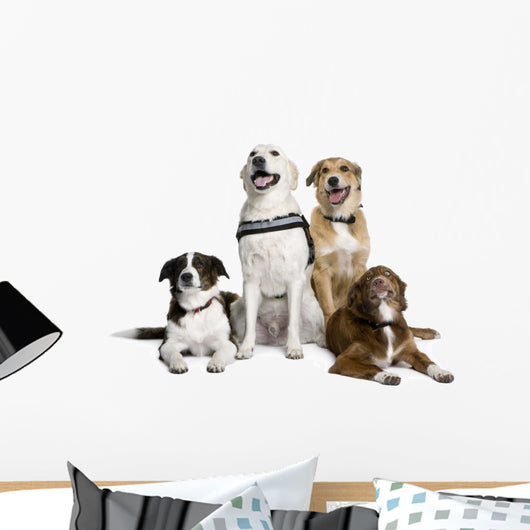 Group of Bastard Dogs Sitting Wall Decal