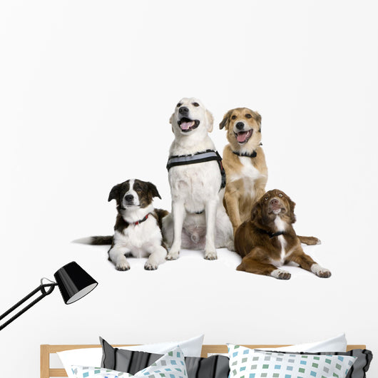 Group of Bastard Dogs Sitting Wall Decal