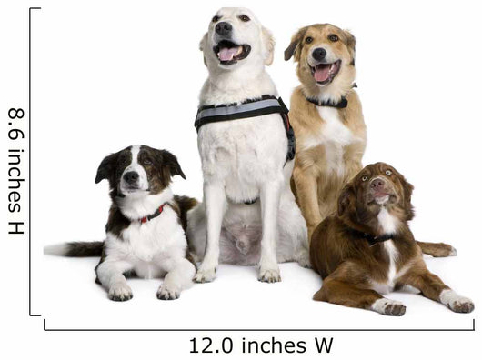 Group of Bastard Dogs Sitting Wall Decal