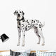 Dalmatian Wall Decal