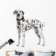 Dalmatian Wall Decal