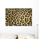 leopard fur texture (real) Wall Mural