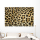 leopard fur texture (real) Wall Mural