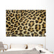 leopard fur texture (real) Wall Mural