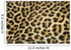 leopard fur texture (real) Wall Mural