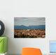 View of Vicenza, the City of Palladio Wall Mural