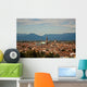 View of Vicenza, the City of Palladio Wall Mural