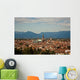 View of Vicenza, the City of Palladio Wall Mural