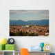 View of Vicenza, the City of Palladio Wall Mural