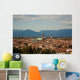 View of Vicenza, the City of Palladio Wall Mural