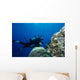 Scuba Diving Wall Decal