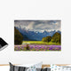 Mountain Landscape With Blossoming Field New Zealand Wall Mural