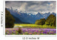Mountain Landscape With Blossoming Field New Zealand Wall Mural