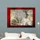 Movie Screen Wall Mural