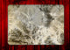 Movie Screen Wall Mural