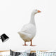 Goose Wall Decal