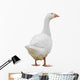 Goose Wall Decal