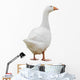 Goose Wall Decal