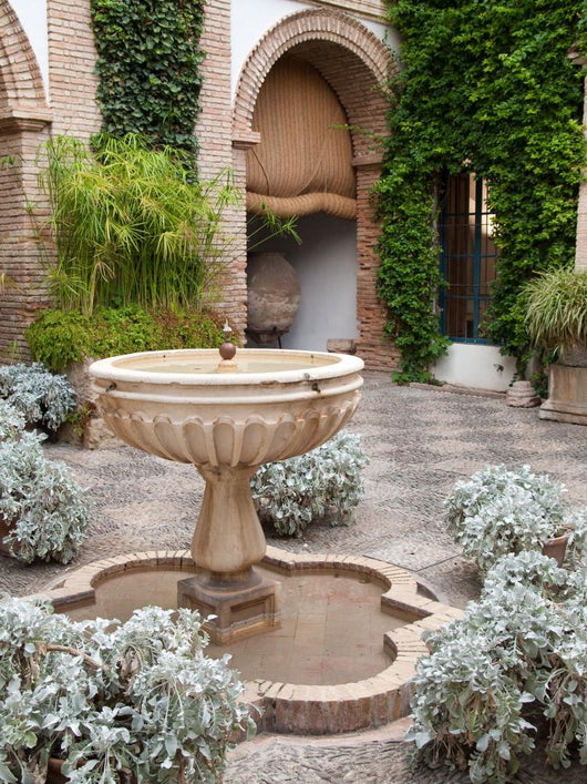 Fountain and Plants Patio