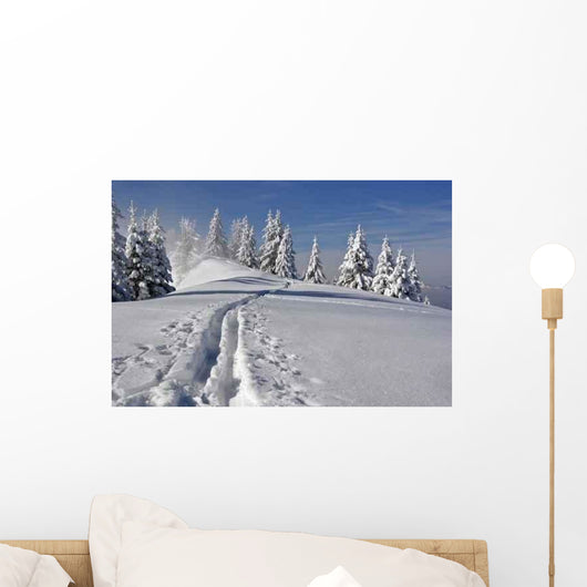 Trail Wall Mural