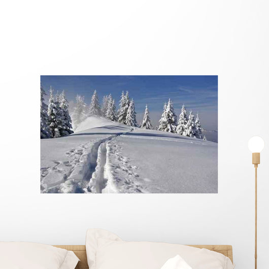 Trail Wall Mural